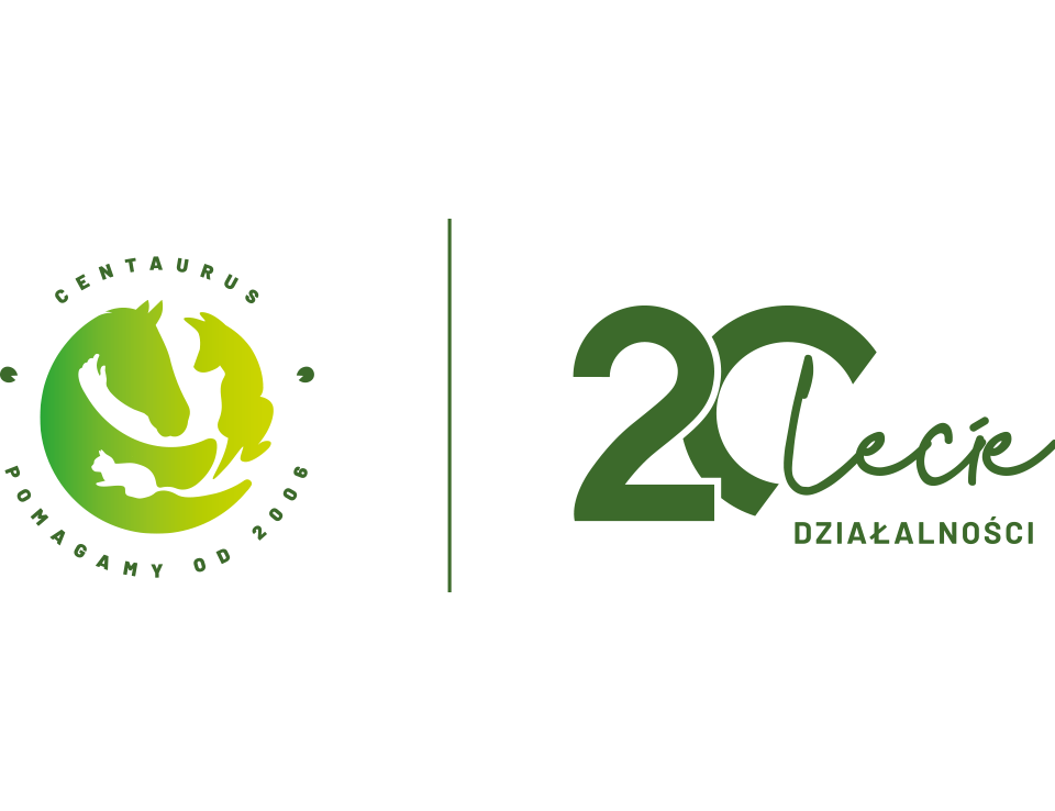 Staż letni 2026 w Fundacji Centaurus