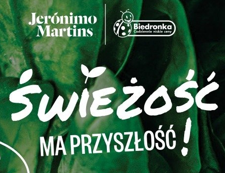 Prestiżowy program menedżerski Management Trainee