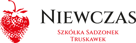 logo-color.png (23,3 kB)