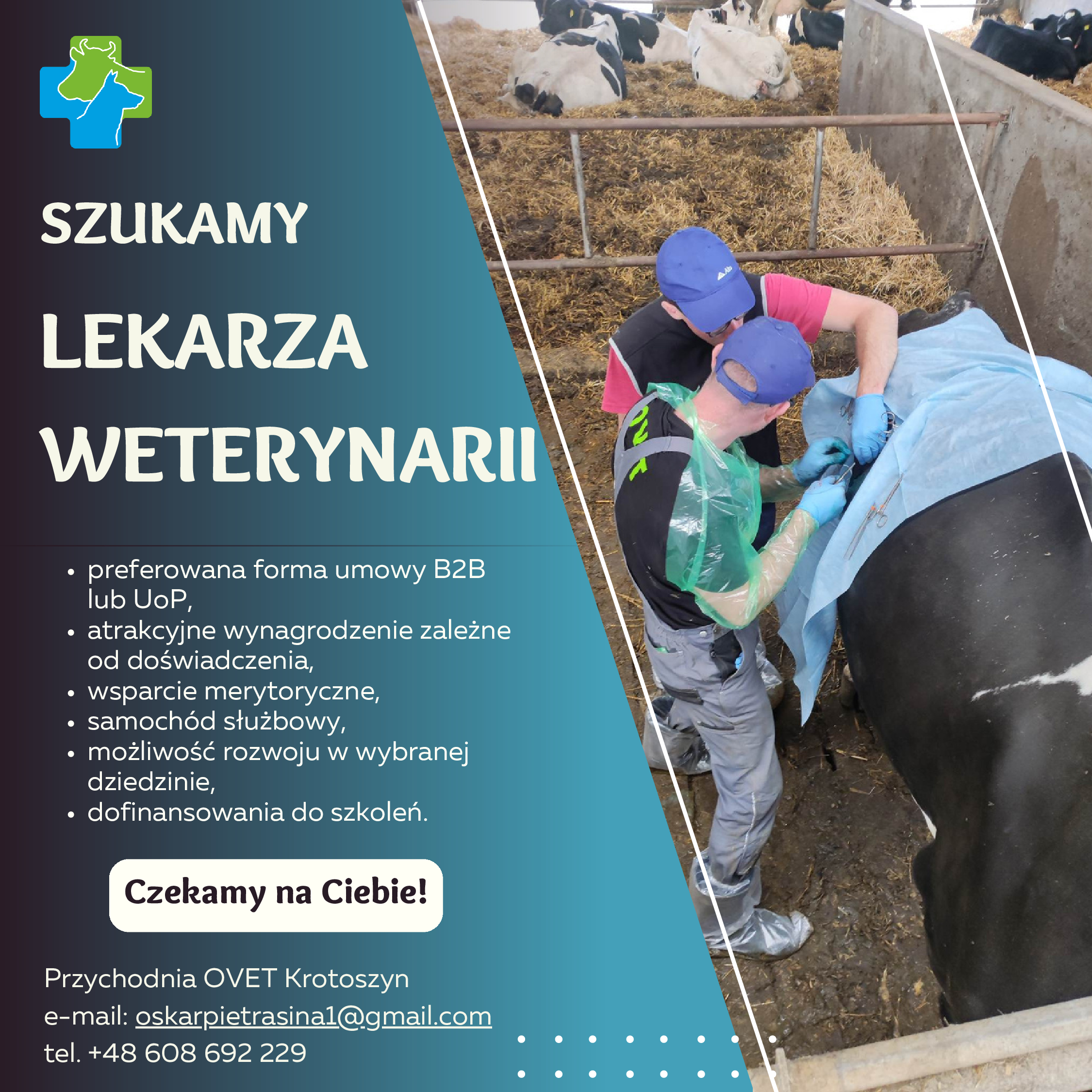 OVET-zwierzęta-gospodarskie-oferta-pracy.jpg (2,86 MB)