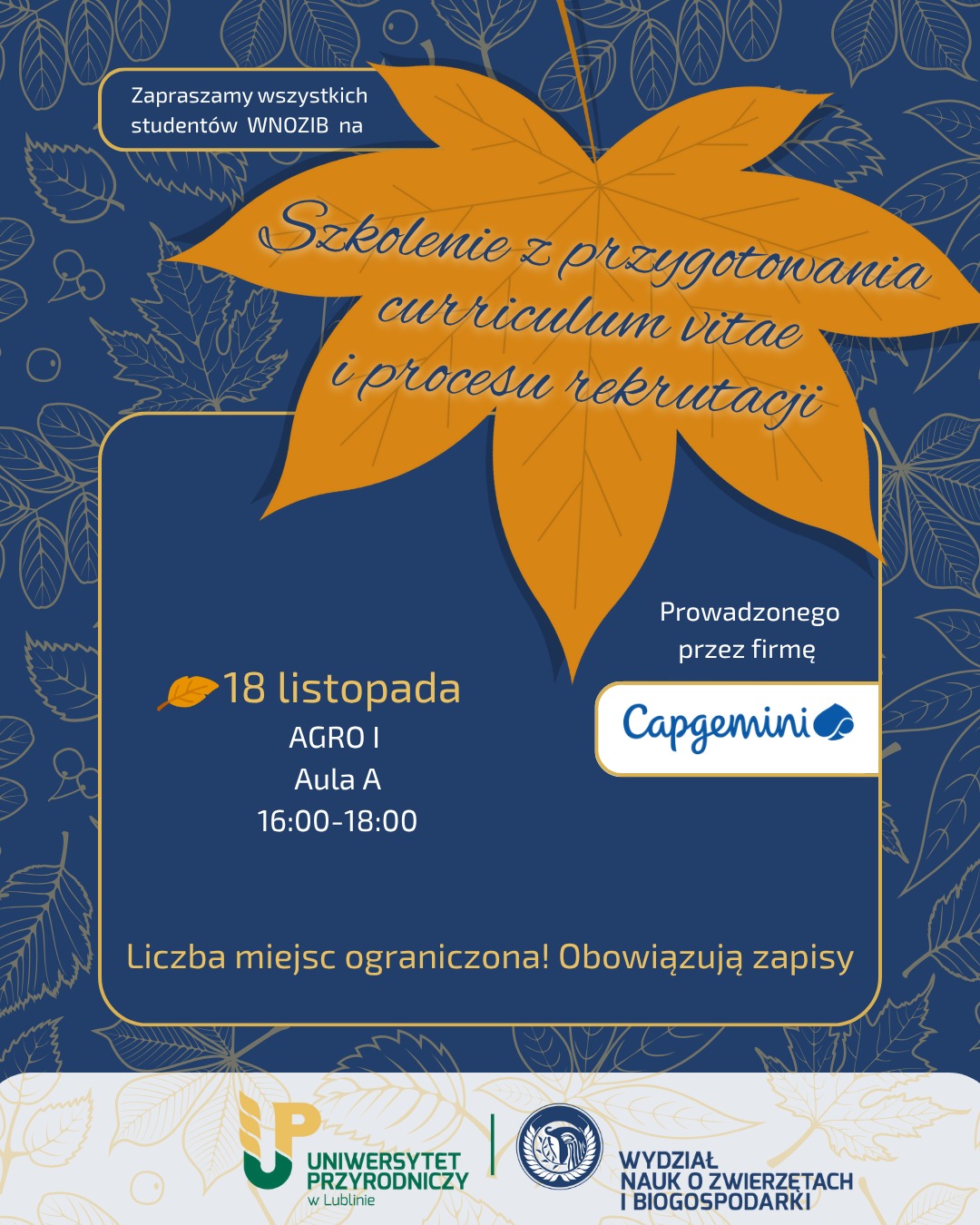 IMG-20251103-WA0026.jpg (340,2 kB)