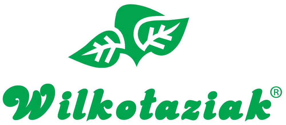 Ikona oferty